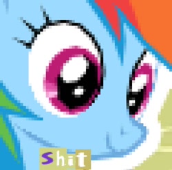 Size: 716x706 | Tagged: safe, edit, imported from derpibooru, rainbow dash, pony, caption, dissonant caption, expand dong, exploitable meme, female, image macro, meme, pixelated, reaction image, smiling, solo, text, vulgar, zoomed in