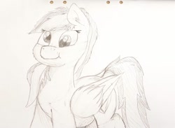 Size: 1338x980 | Tagged: safe, artist:mewliciousness, imported from derpibooru, oc, oc only, oc:joycie, pegasus, pony, chubby, cute, derp, female, mare, paper, solo, traditional art