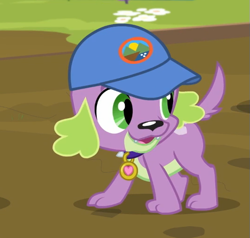 Size: 533x507 | Tagged: safe, imported from derpibooru, screencap, spike, spike the regular dog, dog, equestria girls, legend of everfree, cap, cropped, cute, hat, male, paws