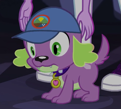 Size: 549x494 | Tagged: safe, imported from derpibooru, screencap, sci-twi, spike, spike the regular dog, twilight sparkle, dog, equestria girls, legend of everfree, cap, cropped, hat, male, paws