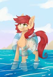 Size: 1378x2000 | Tagged: safe, artist:lonerdemiurge_nail, imported from derpibooru, oc, oc only, oc:bead trail, earth pony, pony, beach, commission, digital art, ear fluff, eye clipping through hair, female, mare, red hair, red mane, red tail, signature, solo, water, ych result