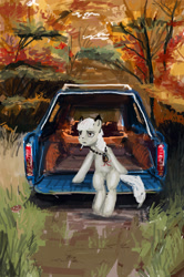 Size: 1358x2043 | Tagged: safe, artist:ony01, imported from derpibooru, oc, oc only, earth pony, pony, autumn, car, forest, sitting, smoke, solo