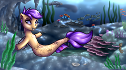 Size: 2500x1400 | Tagged: safe, artist:shido-tara, imported from derpibooru, scootaloo, seapony (g4), surf and/or turf, commission, female, seaponified, seapony scootaloo, smiling, solo, species swap, underwater