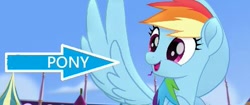 Size: 497x208 | Tagged: safe, edit, edited screencap, imported from derpibooru, screencap, rainbow dash, pegasus, pony, my little pony: the movie, arrow, captain obvious, female, solo, truth