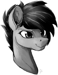 Size: 2264x2922 | Tagged: safe, artist:thatonegib, imported from derpibooru, oc, oc only, oc:doodly mcsketchy, pony, black hair, bust, eyelashes, female, grayscale, mare, monochrome, portrait, short hair, simple background, sketch, smiling, solo, transparent background