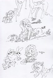 Size: 2369x3482 | Tagged: safe, artist:dilarus, deleted from derpibooru, imported from derpibooru, angel bunny, fluttershy, gummy, opalescence, owlowiscious, rainbow dash, tank, winona, alligator, anthro, cat, dog, owl, pegasus, pony, rabbit, tortoise, :o, :p, anthro with ponies, beefcake, cute, female, filly, floppy ears, head tilt, heart, lip bite, long neck, mare, monochrome, muscles, neigh, omae wa mou shindeiru, onomatopoeia, open mouth, petting, question mark, raised eyebrow, sad, sitting, size difference, smiling, smol, smoldash, surprised, sweat, tallershy, tol, tongue out, traditional art