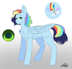 Size: 768x733 | Tagged: safe, artist:malinraf1615, imported from derpibooru, oc, oc only, oc:maxillian, pegasus, pony, chest fluff, gradient background, male, offspring, parent:rainbow dash, parent:soarin', parents:soarindash, rainbow hair, reference sheet, signature, solo, stallion, watermark