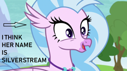 Size: 1280x718 | Tagged: safe, edit, edited screencap, imported from derpibooru, screencap, silverstream, non-compete clause, captain obvious, caption arrow, female, no shit sherlock, op is a silly pony, op is a slowpoke, solo