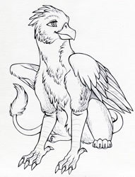 Size: 1234x1619 | Tagged: safe, artist:furrypur, imported from derpibooru, oc, oc only, oc:der, griffon, male, monochrome, sitting, solo, traditional art