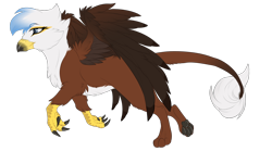 Size: 1390x838 | Tagged: safe, artist:requiem♥, imported from derpibooru, oc, oc only, griffon, cheek fluff, commission, female, paw pads, paws, simple background, solo, straight, transparent background