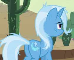 Size: 472x384 | Tagged: safe, imported from derpibooru, screencap, trixie, pony, unicorn, road to friendship, butt, cactus, cropped, female, mare, messy mane, plot, solo