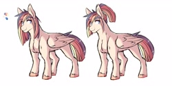Size: 2900x1450 | Tagged: safe, artist:canisrettmajoris, imported from derpibooru, oc, oc only, oc:brisk, pegasus, pony, digital art, female, high res, looking back, mare, next generation, offspring, parent:quibble pants, parent:rainbow dash, parents:quibbledash, simple background, smiling, solo, white background
