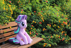 Size: 1240x827 | Tagged: safe, artist:nekokevin, imported from derpibooru, starlight glimmer, pony, unicorn, series:nekokevin's glimmy, bench, cute, female, flower, glimmerbetes, irl, mare, nature, photo, plushie, sitting, smiling, solo, underhoof