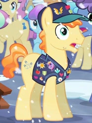 Size: 504x676 | Tagged: safe, imported from derpibooru, screencap, atticus, elbow grease, fair trade, ivory, ivory rook, sapphire joy, crystal pony, pony, the crystalling, cropped, male, paradise (g4), snow