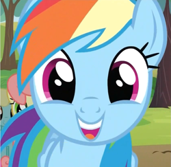Size: 741x719 | Tagged: safe, imported from derpibooru, screencap, rainbow dash, pegasus, pony, the super speedy cider squeezy 6000, close-up, cute, dashabetes, excited, female, happy, mare, open mouth, smiling