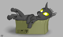 Size: 1017x598 | Tagged: safe, artist:atomfliege, imported from derpibooru, oc, oc only, oc:warplix, changeling, box, changeling in a box, changeling oc, gray background, lying down, male, simple background, solo, yellow changeling