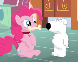 Size: 1001x798 | Tagged: safe, artist:porygon2z, imported from derpibooru, pinkie pie, dog, earth pony, pony, accessory swap, behaving like a dog, bone, brian griffin, cute, diapinkes, family guy, implied pet play, mouth hold, pet play, puppy pie, silly, silly pony