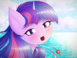 Size: 4000x3000 | Tagged: safe, artist:maneingreen, imported from derpibooru, twilight sparkle, alicorn, pony, blushing, cheek fluff, ear fluff, female, looking at you, mare, ocean, open mouth, solo