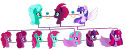 Size: 1839x735 | Tagged: safe, artist:徐詩珮, imported from derpibooru, fizzlepop berrytwist, glitter drops, tempest shadow, twilight sparkle, oc, alicorn, pony, unicorn, alicorn oc, broken horn, family, family tree, female, glittershadow, half-siblings, horn, lesbian, magical lesbian spawn, next generation, offspring, parent:glitter drops, parent:tempest shadow, parent:twilight sparkle, parents:glittershadow, parents:tempestlight, polyamory, ring, shipping, simple background, sisters, tempestlight, transparent background, twilight sparkle (alicorn)