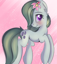 Size: 1060x1178 | Tagged: safe, artist:brok-enwings, imported from derpibooru, marble pie, earth pony, pony, blushing, cute, ear fluff, female, flower, flower in hair, looking at you, marblebetes, mare, smiling, solo