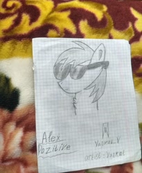 Size: 3000x3655 | Tagged: safe, artist:vankat, imported from derpibooru, oc, oc only, oc:alex pozitive, pony, cool, graph paper, solo, sunglasses, traditional art