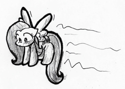 Size: 1130x804 | Tagged: safe, artist:zutcha, imported from derpibooru, fluttershy, pegasus, pony, female, flying, looking down, mare, monochrome, simple background, sketch, solo, spread wings, traditional art, white background, wings