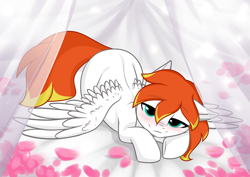 Size: 1381x978 | Tagged: safe, artist:roseriver, imported from derpibooru, oc, oc only, oc:dookin foof lord, pegasus, pony, bed, bedroom eyes, blue eyes, blushing, cute, looking at you, male, rose petals, solo, stallion