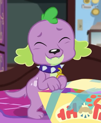 Size: 591x720 | Tagged: safe, imported from derpibooru, screencap, spike, spike the regular dog, dog, equestria girls, equestria girls series, reboxing with spike!, spoiler:eqg series (season 2), box, cropped, cute, embarrassed grin, eyes closed, male, paws, sci-twi's room, smiling, spikabetes, spike's dog collar