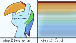 Size: 2863x1617 | Tagged: safe, artist:infrayellow, imported from derpibooru, rainbow dash, pony, bust, comic, eyes closed, fast, female, how to, inhaling, mare, motion blur, step by step