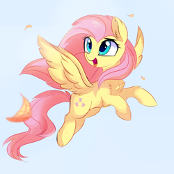 Size: 1986x1986 | Tagged: safe, artist:aureai, imported from derpibooru, fluttershy, pegasus, pony, chest fluff, cute, ear fluff, feather, female, fluffy, flying, gray background, happy, hoof fluff, leg fluff, looking up, mare, open mouth, shoulder fluff, shyabetes, simple background, smiling, solo, spread wings, tongue out, windswept mane, wing fluff, wings