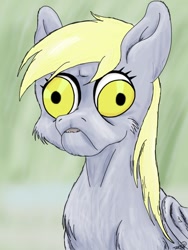 Size: 768x1024 | Tagged: safe, artist:mixdaponies, imported from derpibooru, derpy hooves, pegasus, pony, bust, cheek fluff, chest fluff, cursed image, derp, faic, female, fluffy, frown, mare, parody, ponified animal photo, portrait, shoulder fluff, solo, ugly, wat, wilfred, wilfred warrior, wing fluff