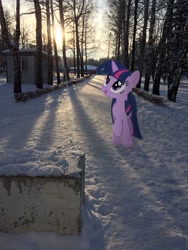 Size: 1620x2160 | Tagged: safe, artist:albertuha, imported from derpibooru, twilight sparkle, pony, unicorn, cute, female, irl, mare, photo, ponies in real life, smiling, snow, solo, twiabetes, unicorn twilight, winter