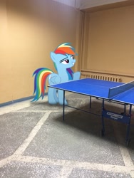 Size: 1620x2160 | Tagged: safe, artist:albertuha, imported from derpibooru, rainbow dash, pegasus, pony, female, frown, irl, mare, photo, ponies in real life, raised hoof, smiling, solo, table tennis, underhoof