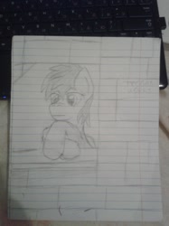 Size: 605x807 | Tagged: safe, artist:terminalhash, imported from derpibooru, oc, oc only, oc:pegastra, pony, lined paper, sketch, solo, traditional art