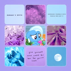 Size: 1280x1280 | Tagged: safe, artist:softyshy, imported from derpibooru, trixie, pony, collage, female, moodboard, solo, text