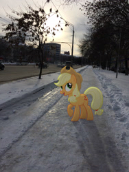 Size: 2448x3264 | Tagged: safe, artist:albertuha, imported from derpibooru, applejack, earth pony, pony, female, irl, mare, photo, ponies in real life, raised hoof, russia, smiling, snow, solo, winter