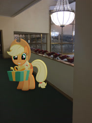 Size: 2448x3264 | Tagged: safe, artist:albertuha, imported from derpibooru, applejack, earth pony, pony, cute, female, irl, jackabetes, mare, photo, ponies in real life, present, smiling, solo, theater