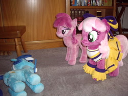 Size: 640x480 | Tagged: safe, artist:sniperteam4, imported from derpibooru, berry punch, berryshine, cheerilee, minuette, pony, cheerileeder, cheerleader, irl, photo, plushie