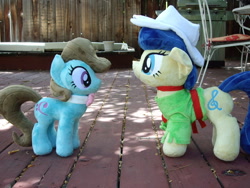 Size: 1600x1200 | Tagged: safe, artist:sniperteam4, imported from derpibooru, beauty brass, fiddlesticks, pony, apple family member, irl, photo, plushie