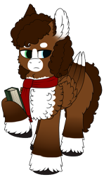 Size: 391x661 | Tagged: safe, imported from derpibooru, oc, oc:luke pineswood, pegasus, pony, book, clothes, digital art, fluffy, scarf, simple background, transparent background