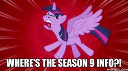 Size: 600x337 | Tagged: safe, edit, edited screencap, imported from derpibooru, screencap, twilight sparkle, alicorn, pony, horse play, season 9, caption, fangirl, female, hiatus, hype, image macro, in-universe pegasister, meme, memeful.com, solo, text, twilight sparkle (alicorn)