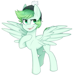 Size: 1164x1200 | Tagged: safe, artist:higgly-chan, imported from derpibooru, oc, oc only, oc:emerald flow, pegasus, pony, beanie, commission, hat, male, multicolored hair, simple background, smiling, smirk, solo, spread wings, stallion, transparent background, wings