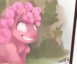 Size: 2297x1931 | Tagged: safe, artist:icychamber, imported from derpibooru, pinkie pie, earth pony, pony, female, looking up, mare, signature, smiling, solo