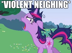 Size: 1247x918 | Tagged: safe, edit, edited screencap, imported from derpibooru, screencap, twilight sparkle, pony, unicorn, lesson zero, caption, descriptive noise, faic, female, horse noises, image macro, mare, meme, messy mane, neigh, neighing, solo, text, twilight snapple, unicorn twilight