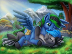 Size: 4000x3000 | Tagged: safe, artist:vittorionobile, imported from derpibooru, oc, pony, commission, cuddling, cute, gay, male, scenery