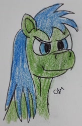 Size: 924x1420 | Tagged: safe, artist:rapidsnap, imported from derpibooru, oc, oc only, oc:rapidsnap, pony, evil smirk, solo, traditional art