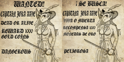 Size: 1024x512 | Tagged: safe, artist:susanzx2000, imported from derpibooru, oc, oc only, human, hat, humanized, older, pirate, pirate hat, solo, sword, wanted, wanted poster, weapon