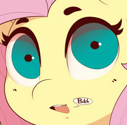 Size: 1581x1553 | Tagged: safe, artist:evehly, imported from derpibooru, fluttershy, pegasus, pony, bitch, dialogue, female, looking at you, mare, open mouth, out of character, solo, speech bubble, swearing, swearyshy, vulgar