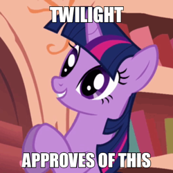 Size: 600x600 | Tagged: safe, edit, edited screencap, imported from derpibooru, screencap, twilight sparkle, pony, unicorn, look before you sleep, approval, approves, caption, female, golden oaks library, image macro, meme, reaction image, smiling, solo, text, unicorn twilight