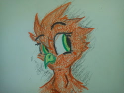 Size: 640x480 | Tagged: safe, artist:radecfrack, imported from derpibooru, oc, oc:gwent, classical hippogriff, hippogriff, bust, hippogriff oc, looking at you, looking sideways, traditional art